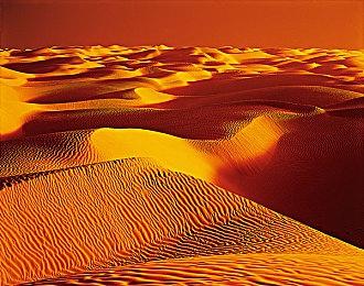 肉鸽式新养成！《铸仙之境》删档计费测试定档10月23日